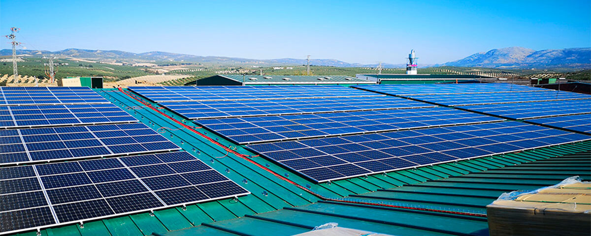 instalacion autoconsumo solar producciones agricolas cordobesas