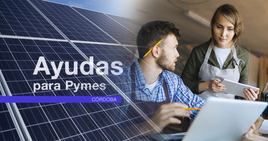 subvenciones para pymes