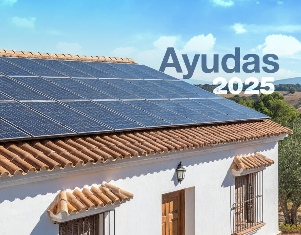 fondo ayudas OK