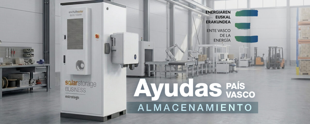 Ayudas Almacenamiento País Vasco 2026