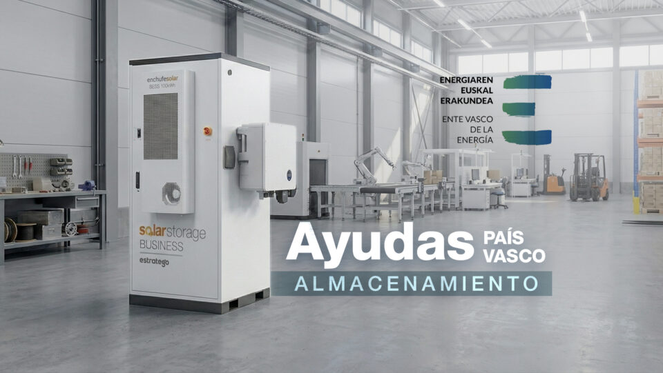 Ayudas Almacenamiento País Vasco 2026